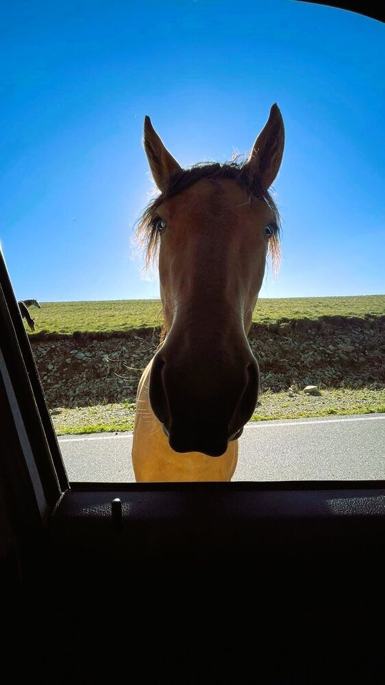 Photograph by Светлана Парамонова