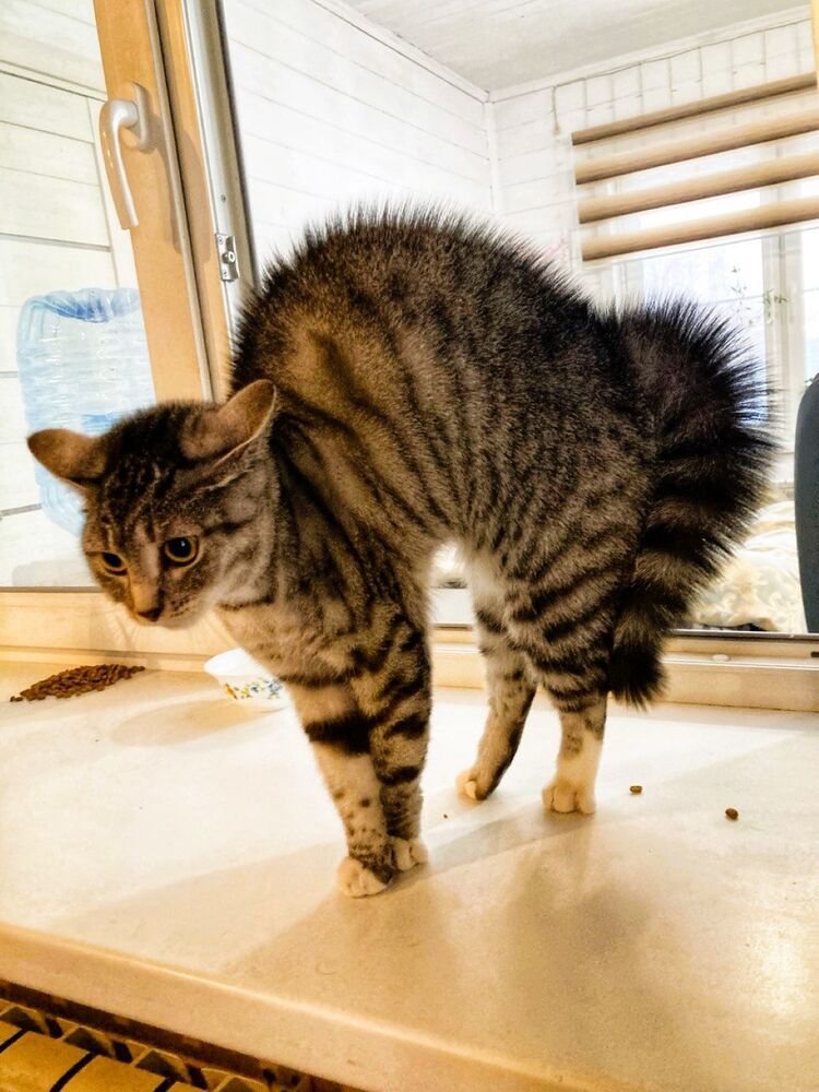 Photograph by Светлана Парамонова