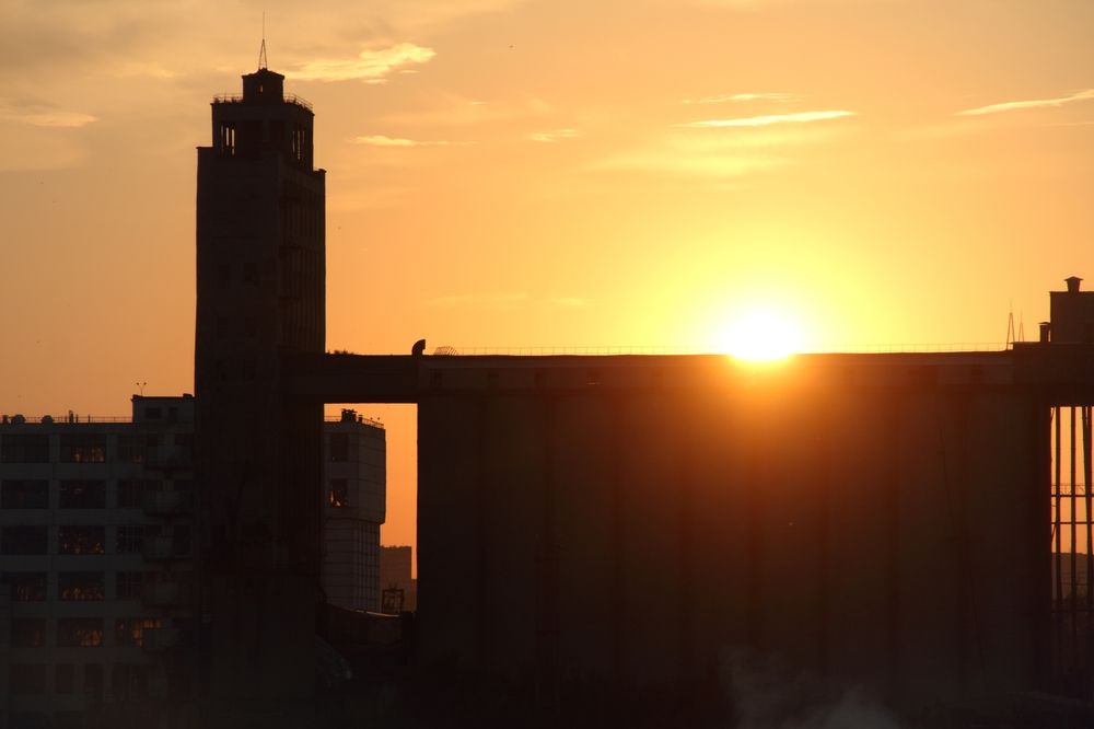 Photograph by Elena Bogomolova