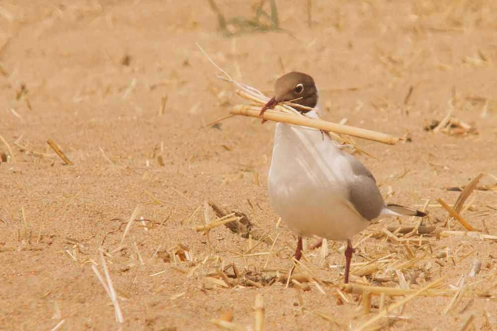 Photograph by Ольга Степанова
