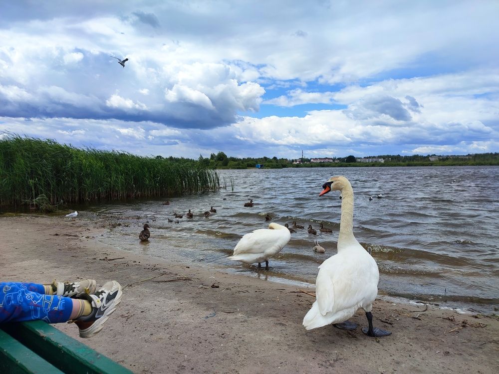 Photograph by Ирина К.