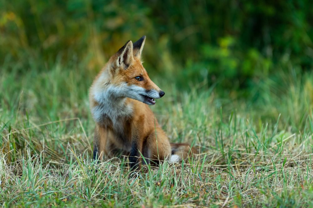 Photograph by Eliseev Nikolay