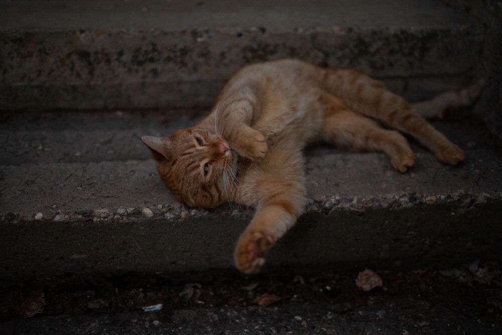 Photograph by Светлана Гаврикова