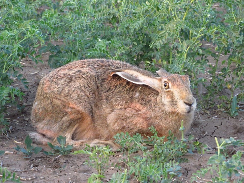 Photograph by Денис Веску