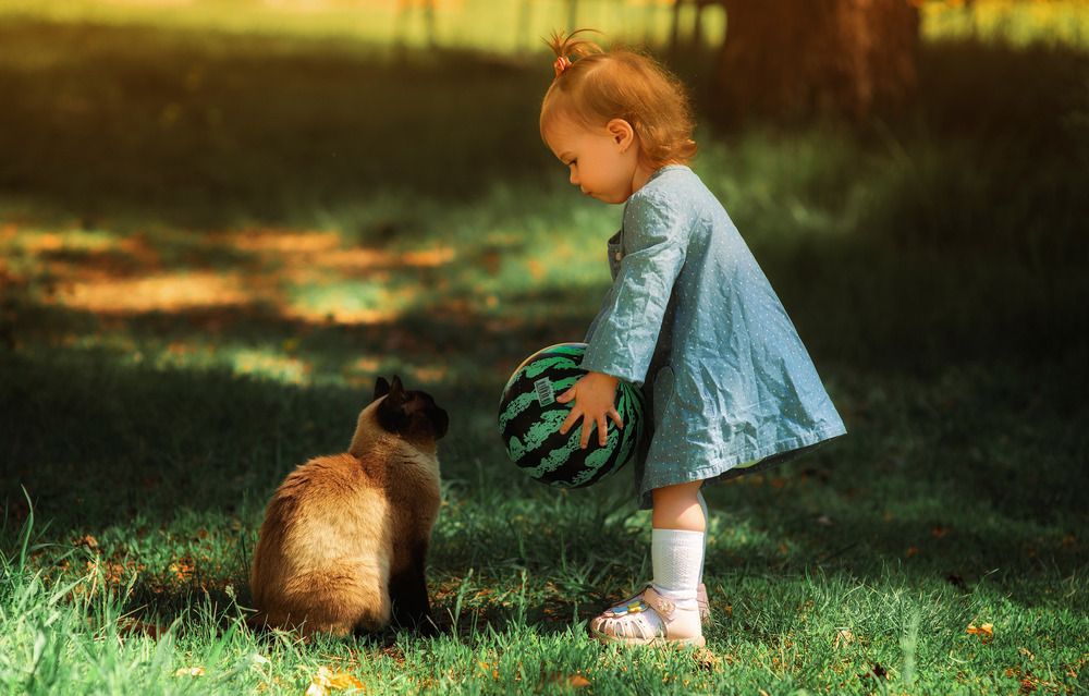 Photograph by Ксения Гафарова