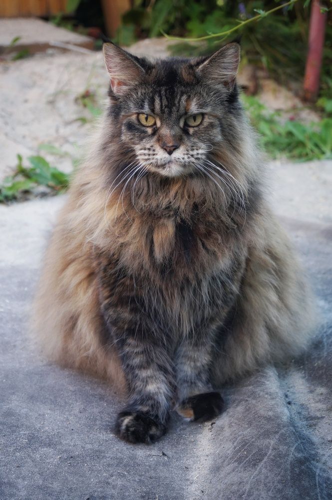 Photograph by Светлана