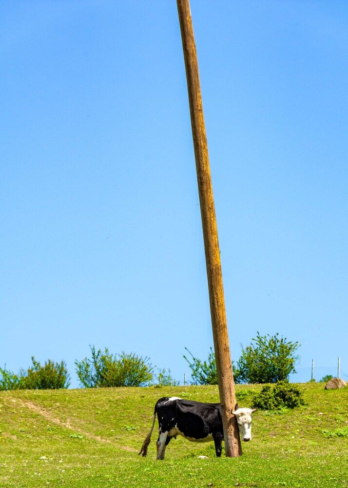 Photograph by Vahid Sabet