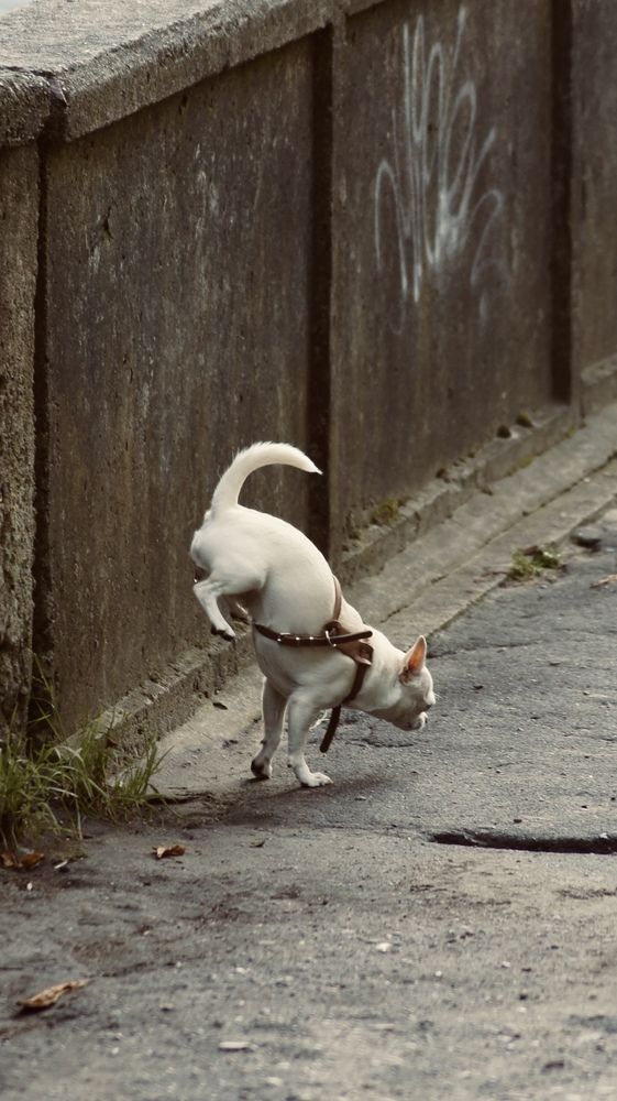 Photograph by Марьяна Пинчук