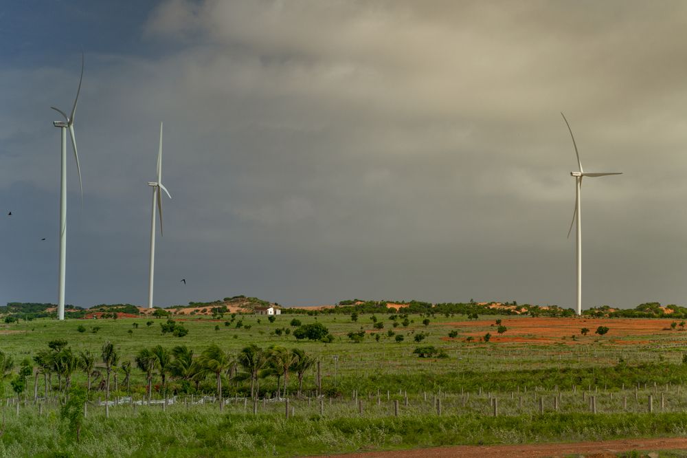 Фотография автора Dang Le