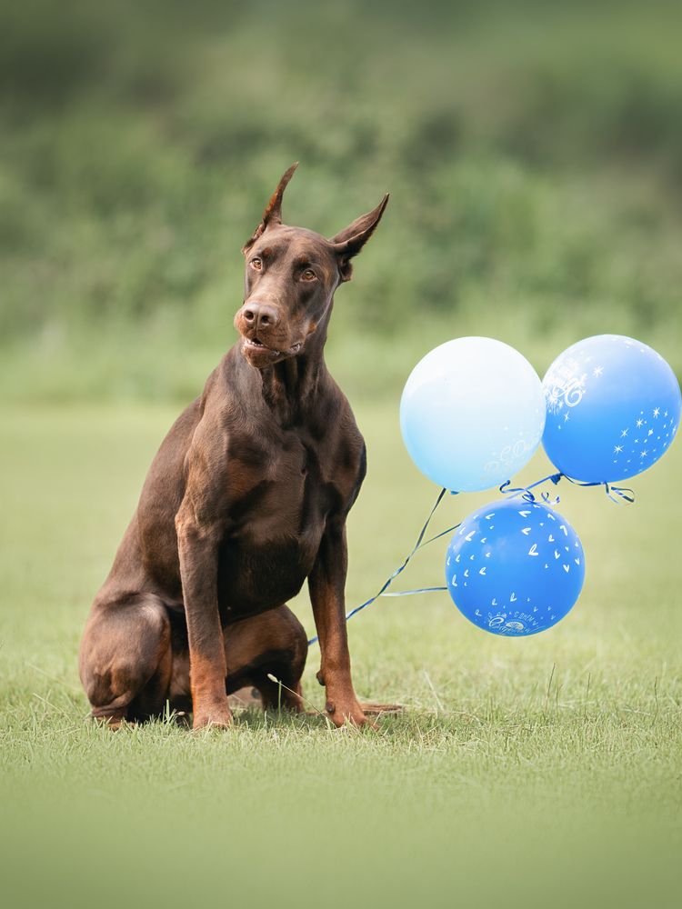 Фотография автора Мария Клещенко