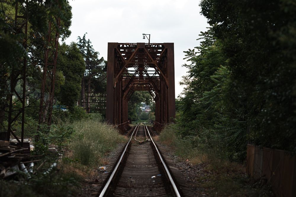 Photograph by Сергей ПЛАТОНОВ