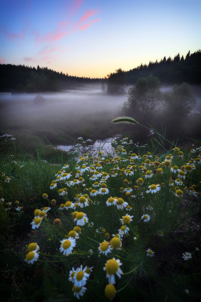 Photograph by Андрей Пучков