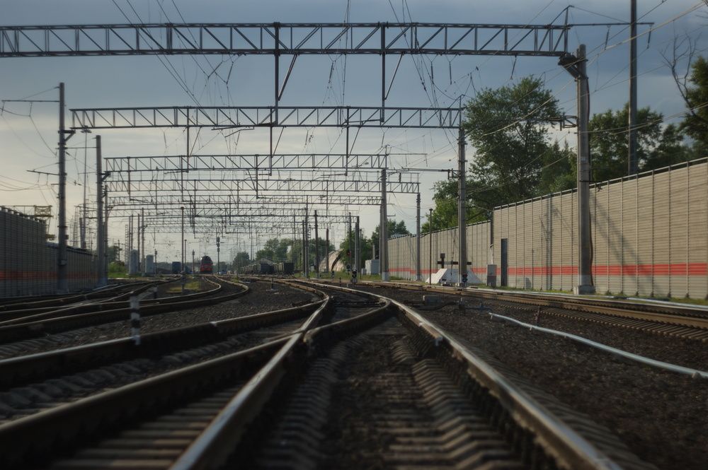 Photograph by Елена