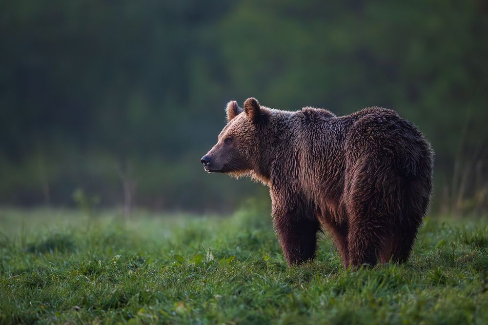 Looking forward tommorow