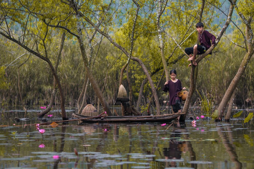 Фотография автора Pham Quynh Nga