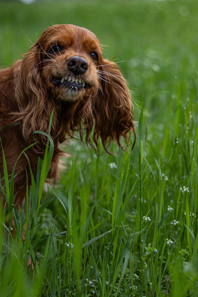 Photograph by Victoria Mogulyan