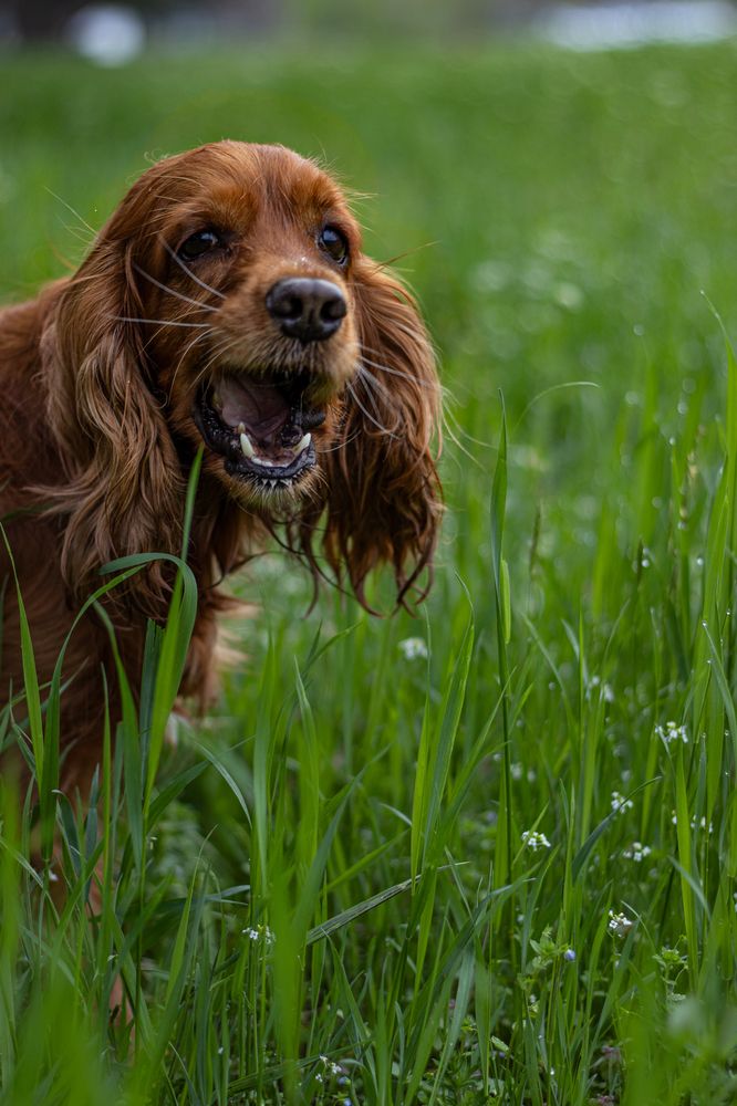 Photograph by Victoria Mogulyan