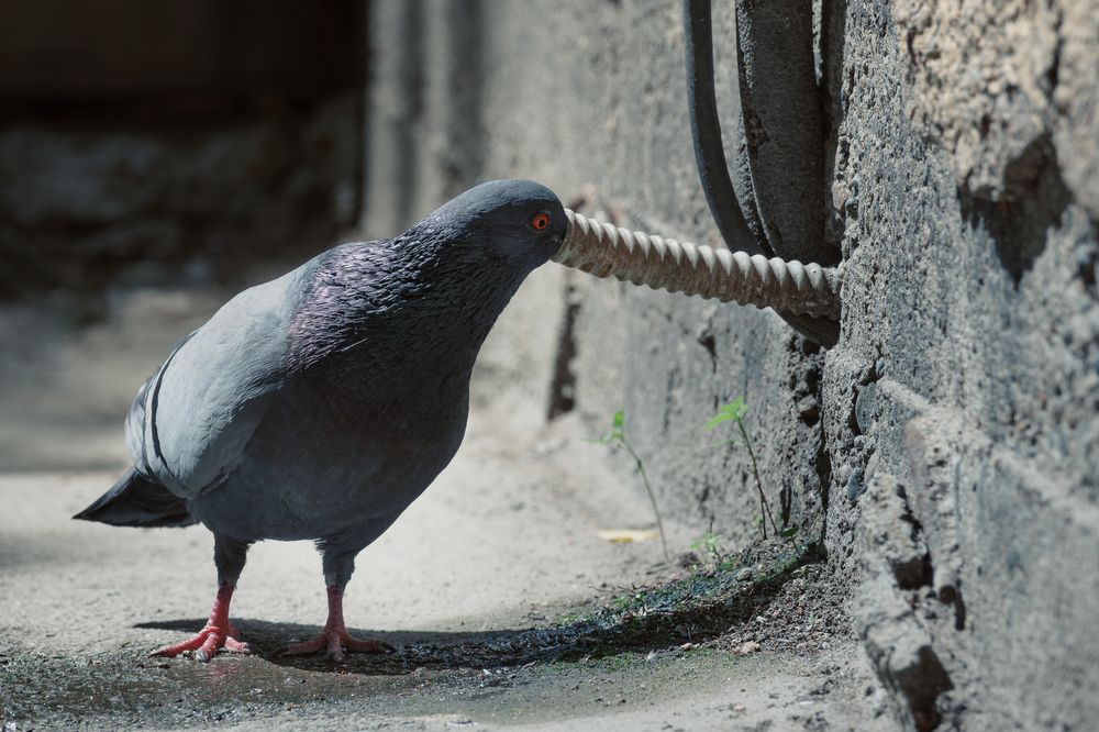 Photograph by Андрей Иванов