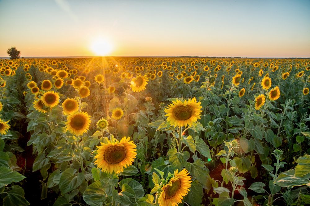 Photograph by Артём Самусенко
