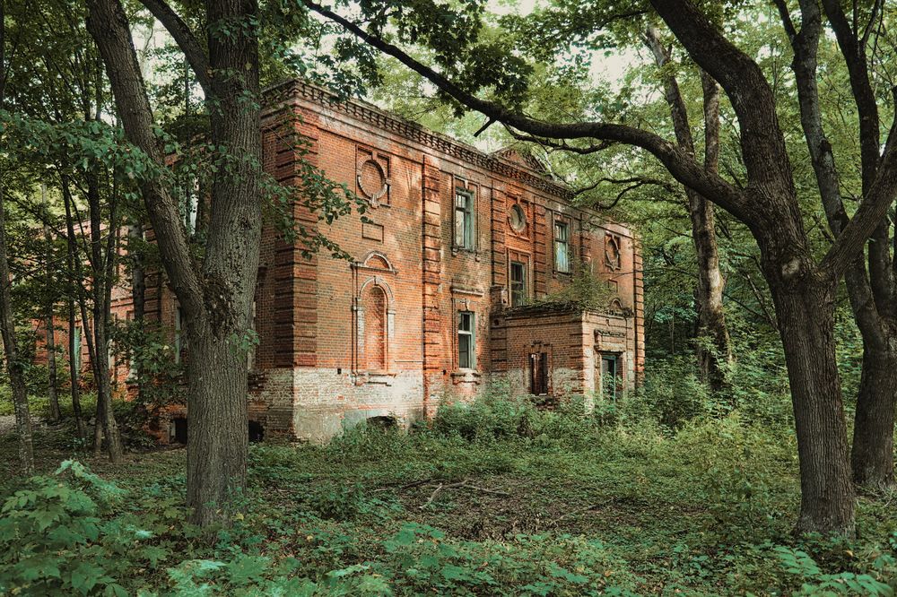 Photograph by Александр Лемешков