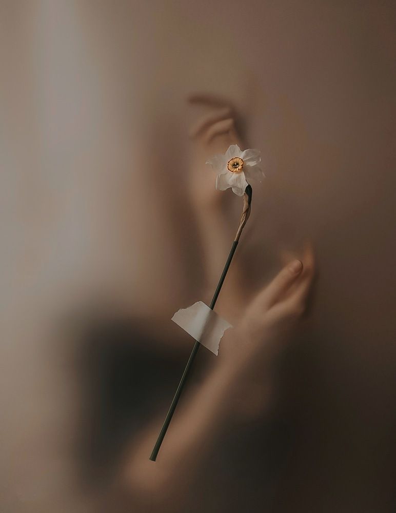 Photograph by Татьяна Шахова
