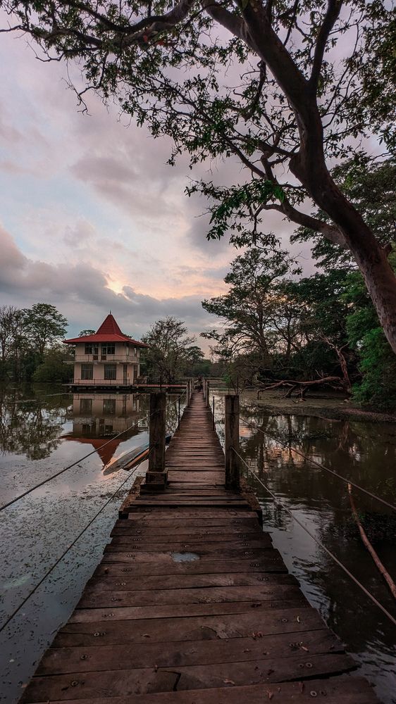 Фотография автора Chelaka Bandara