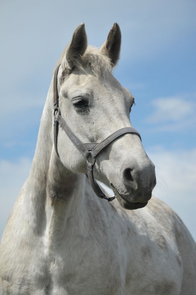 Photograph by Мария Лавриненко