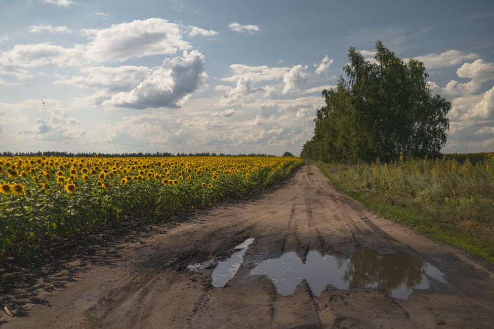Фотография автора Painterman
