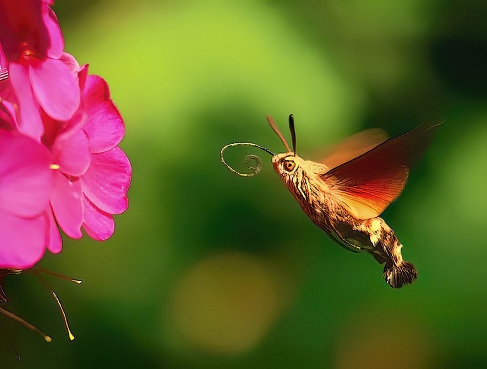 Photograph by Владимир