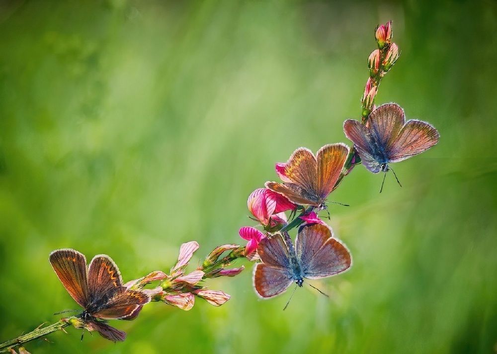 Photograph by Владимир