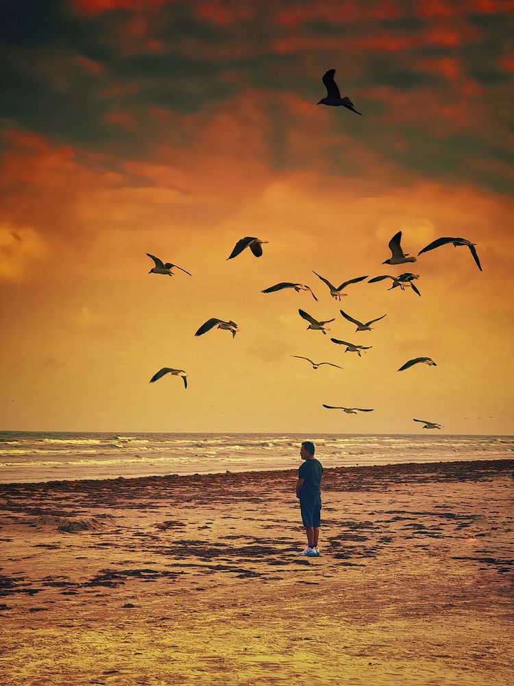 Photograph by Владимир