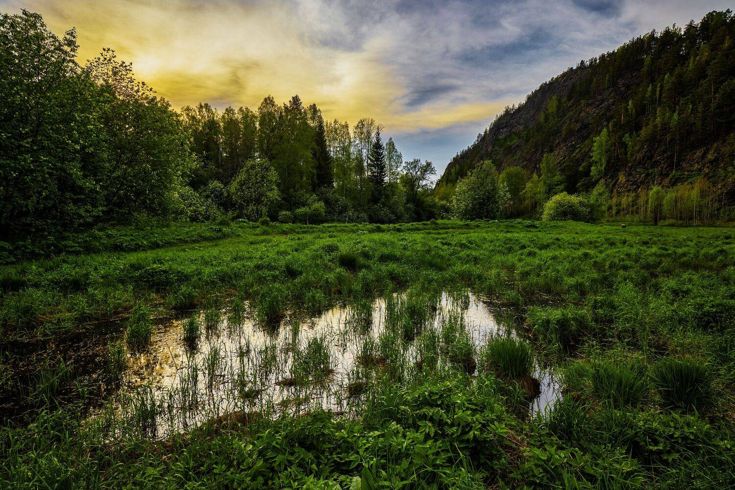 Под светом майского заката.