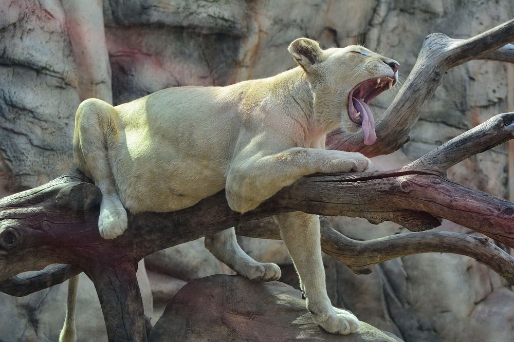 Photograph by Сергей Пидронов