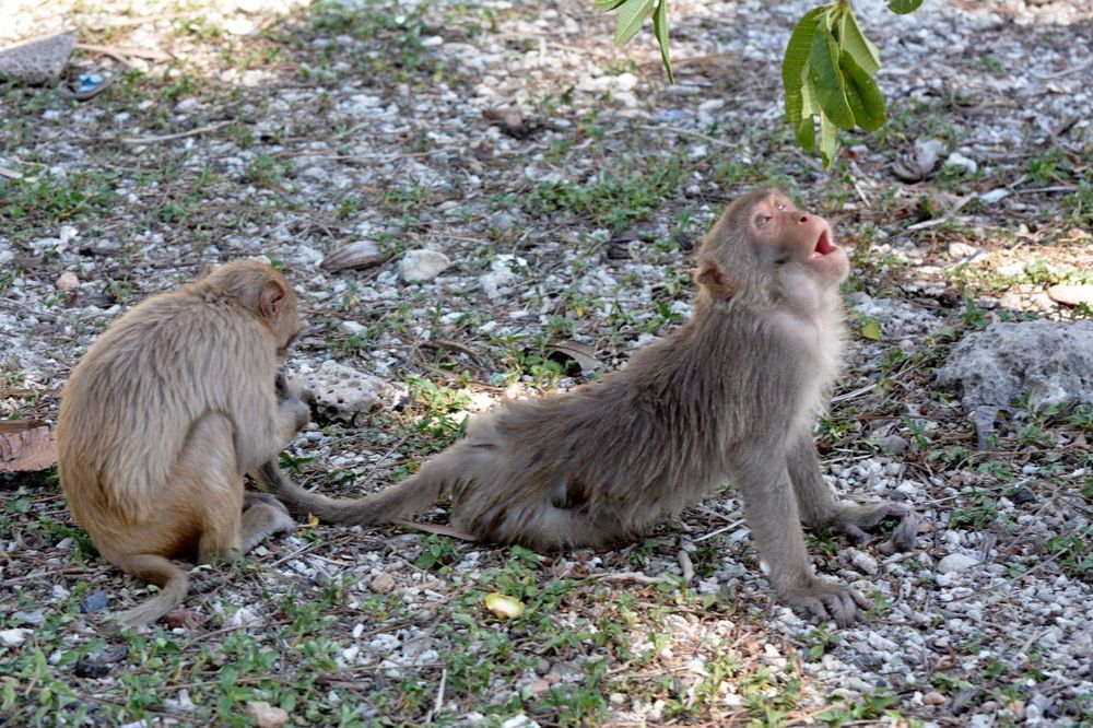 Photograph by Сергей Пидронов