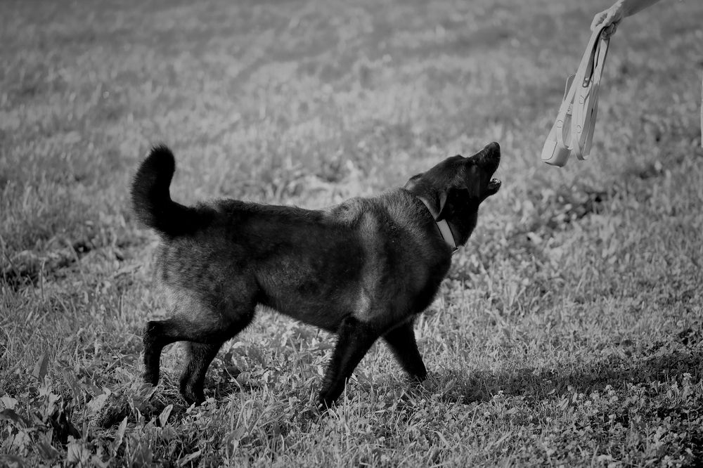 Photograph by Yana Egorova