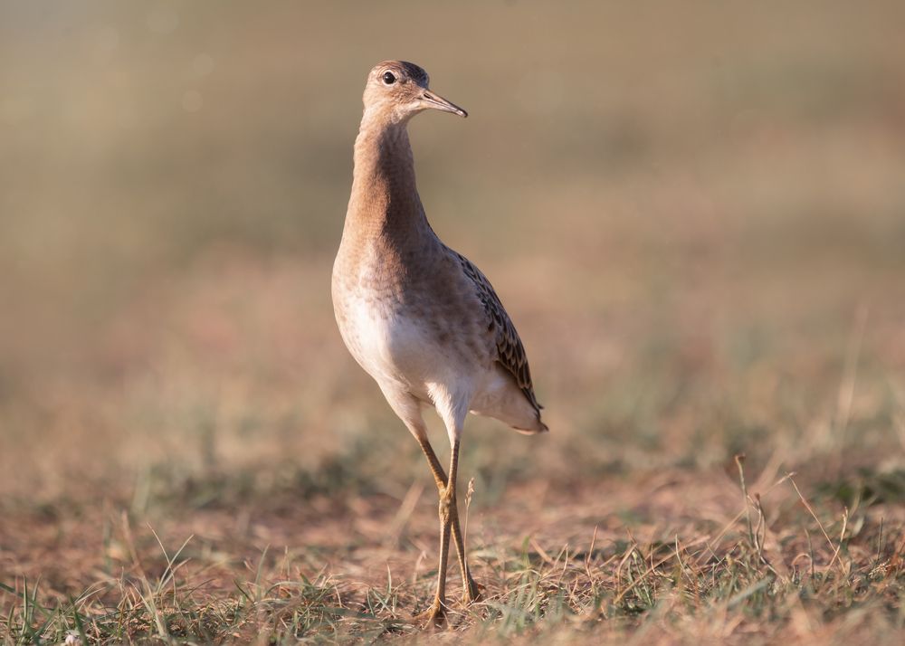Photograph by Тамара Вотинцева