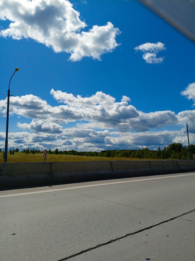 Photo #12428026