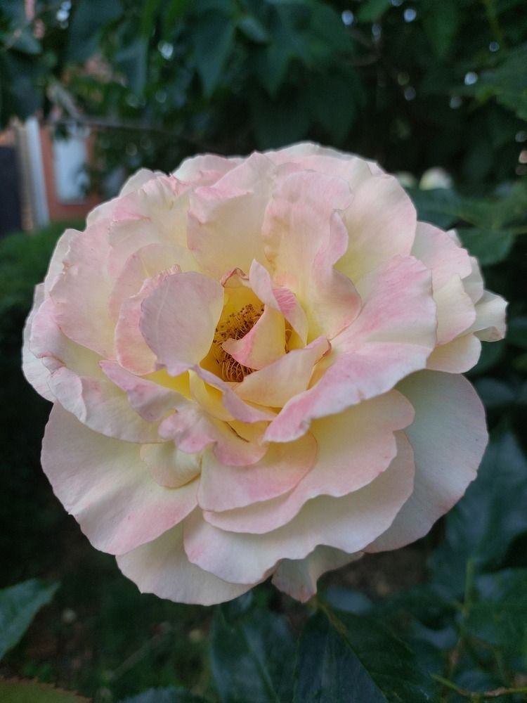 Photograph by Анастасия Белицкая