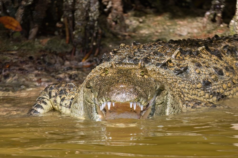 Photograph by Natalia Waurio