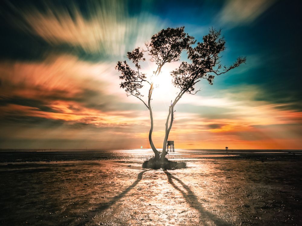 Photograph by Halo Nguyen