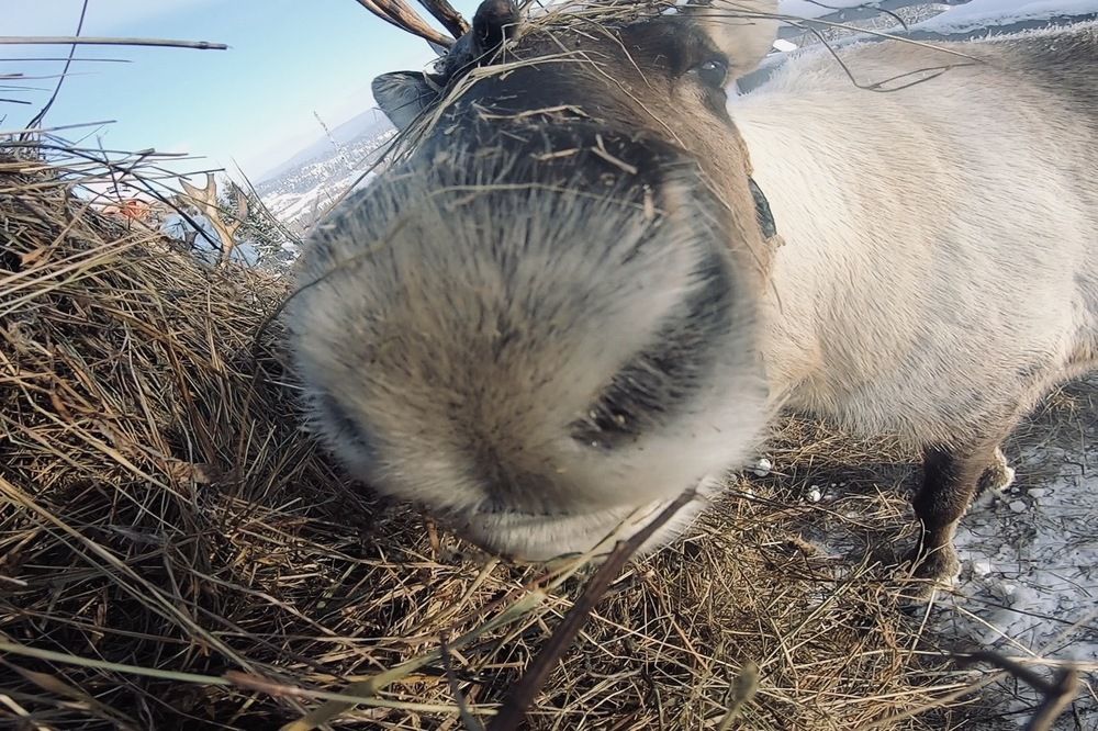 Фотография автора Постельный Дмитрий