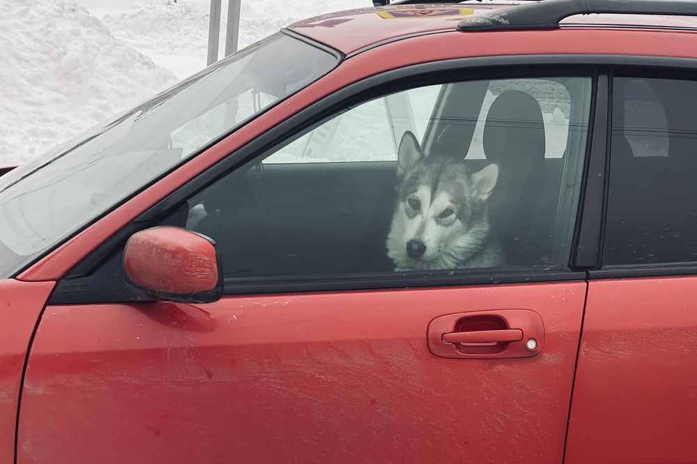 Фотография автора Постельный Дмитрий