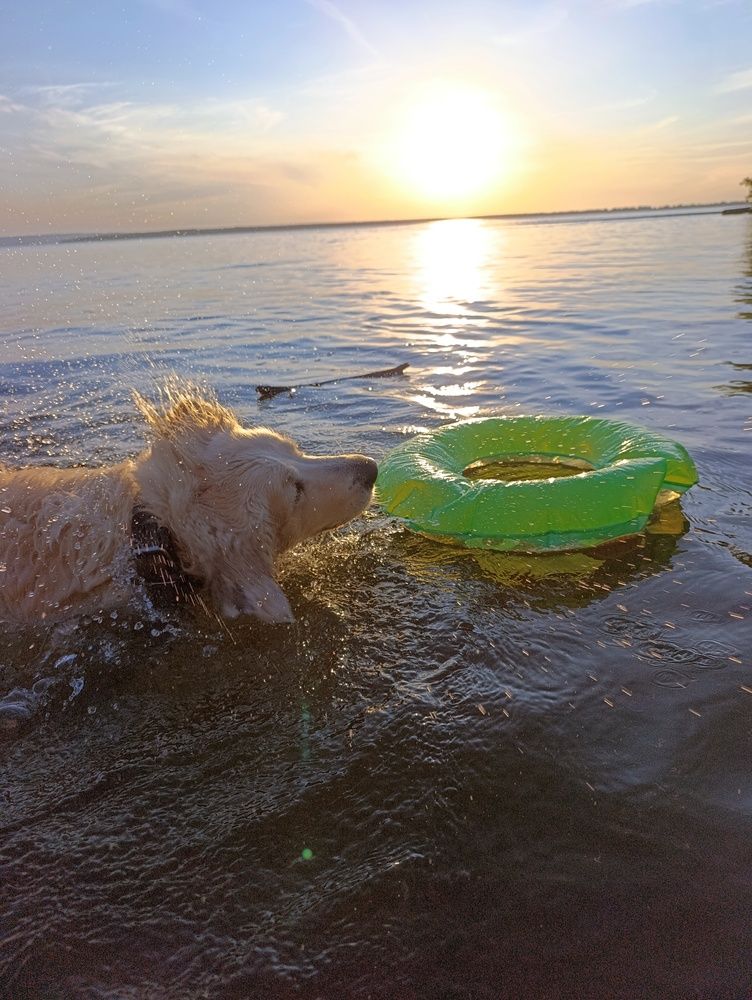 Photograph by Елена Глуховкина