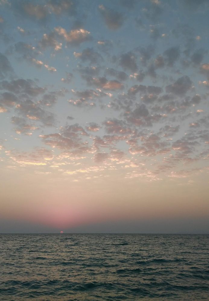 Photograph by Даша Каткова