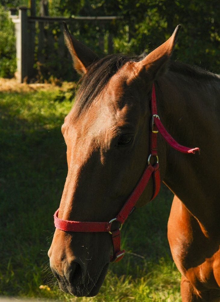Photograph by Анастасия Игнатьева