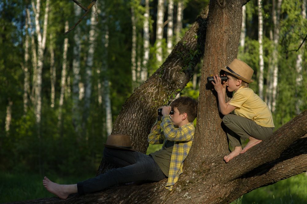 Photograph by Юлия Седова