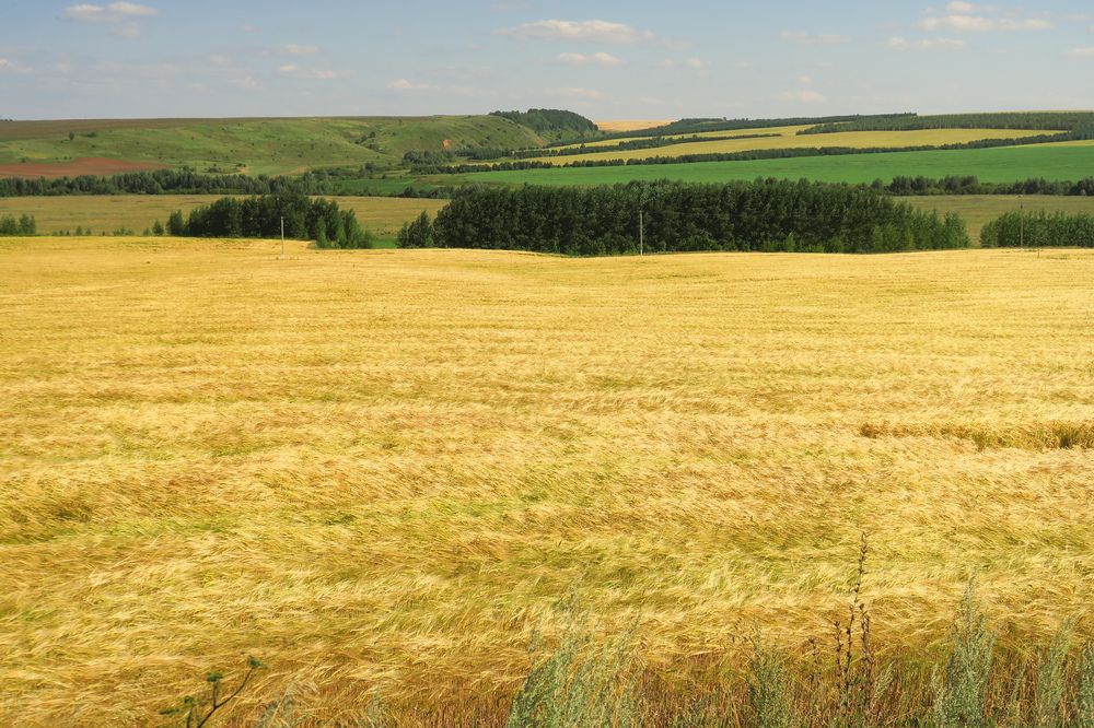 Photograph by Орл Про