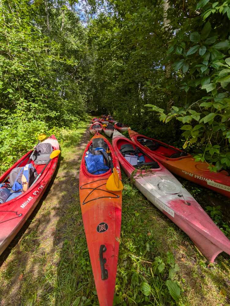 Photograph by Инна Савичева