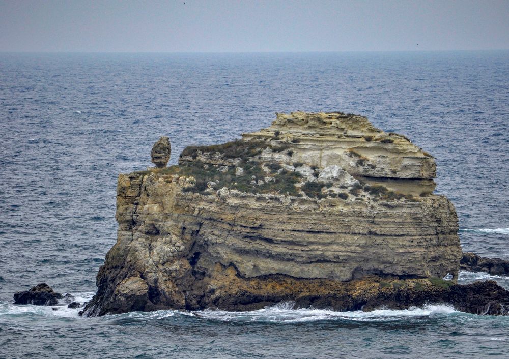Фотография автора Татьяна Петренко