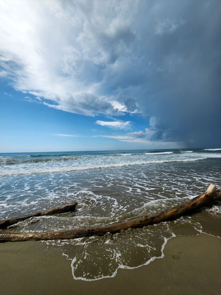 Photograph by Simona Synkova